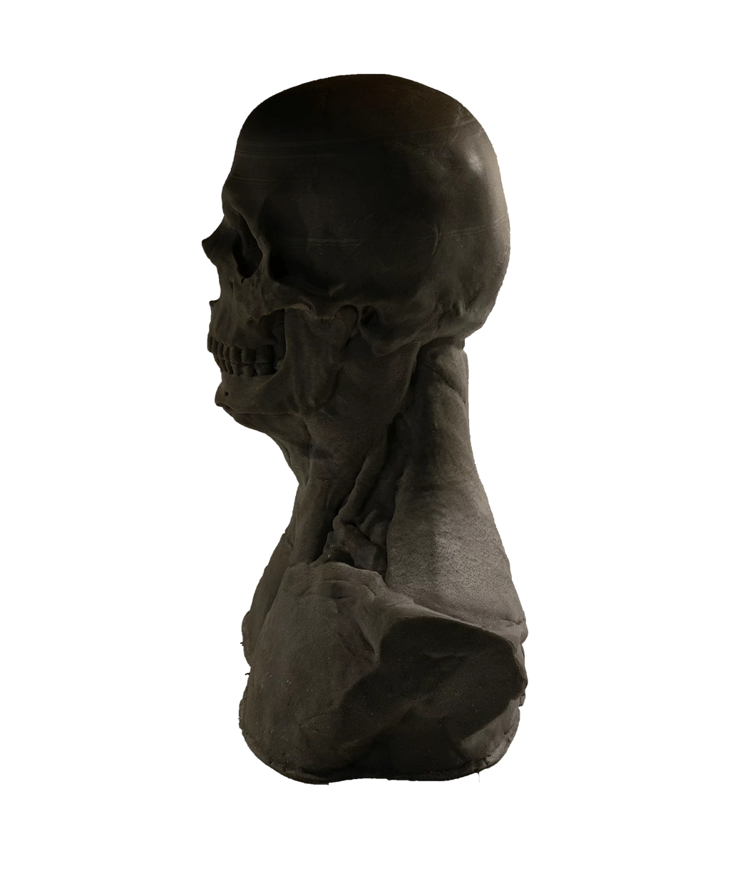 Skullform Head Form Silicone