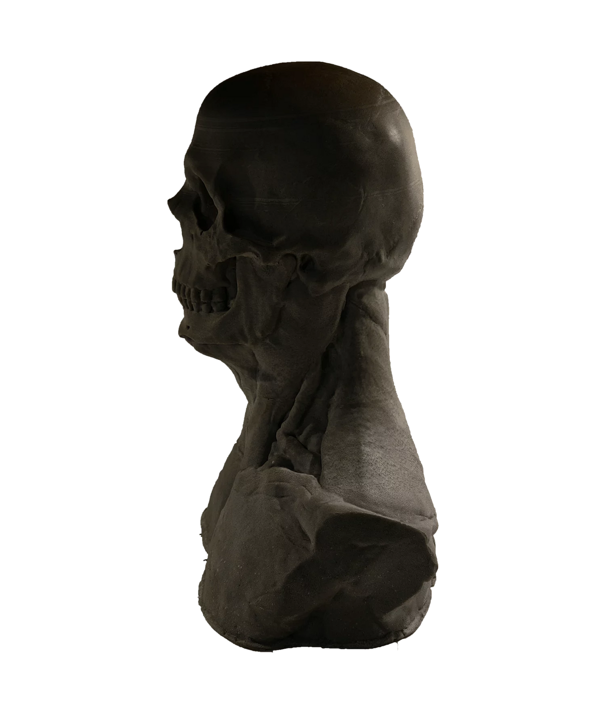 Skullform Head Form Silicone