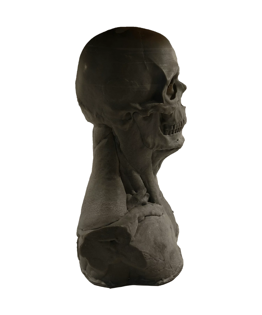 Skullform Head Form Silicone