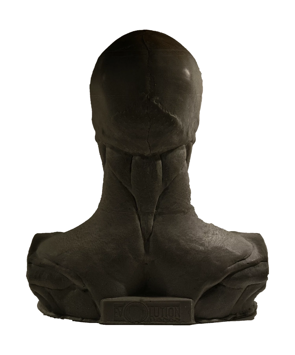 Skullform Head Form Silicone
