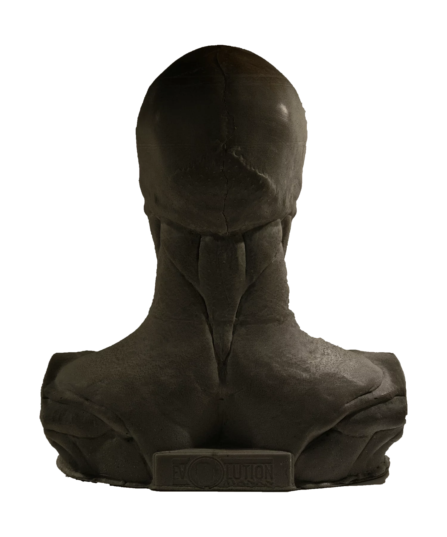 Skullform Head Form Silicone