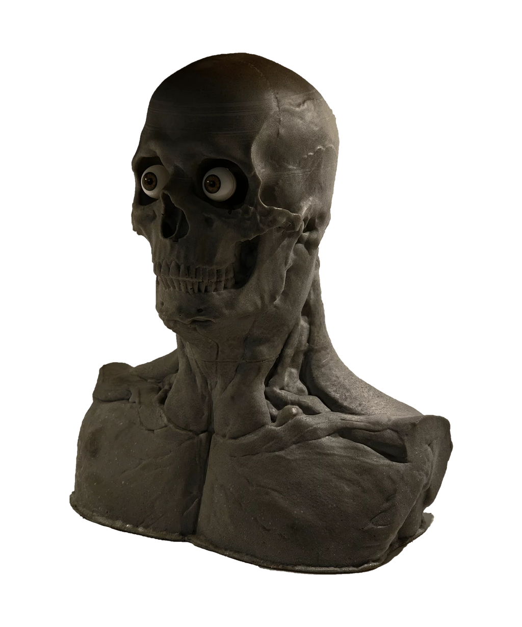 Skullform Head Form Silicone