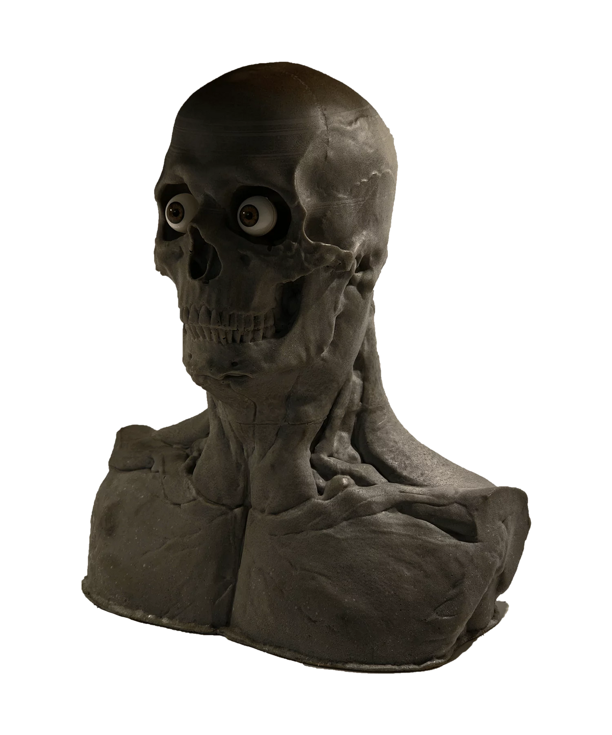 Skullform Head Form Silicone