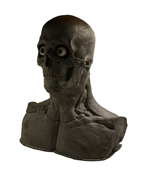 Skullform Head Form Silicone