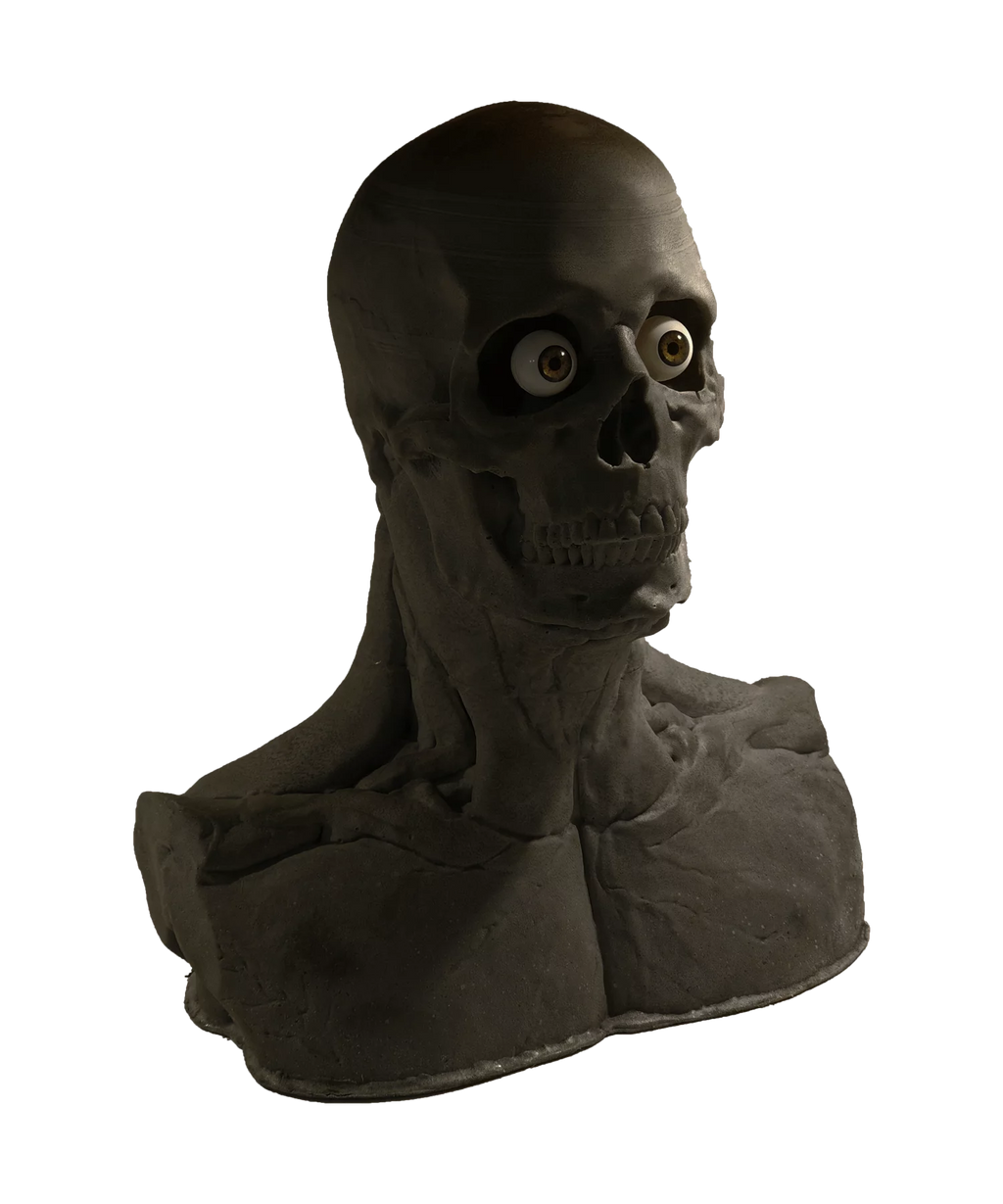 Skullform Head Form Silicone