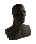 Skullform Head Form Silicone