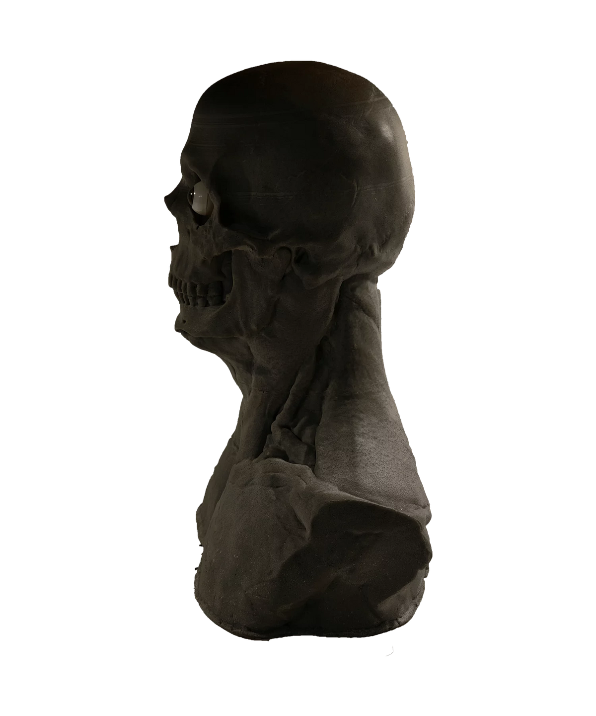 Skullform Head Form Silicone